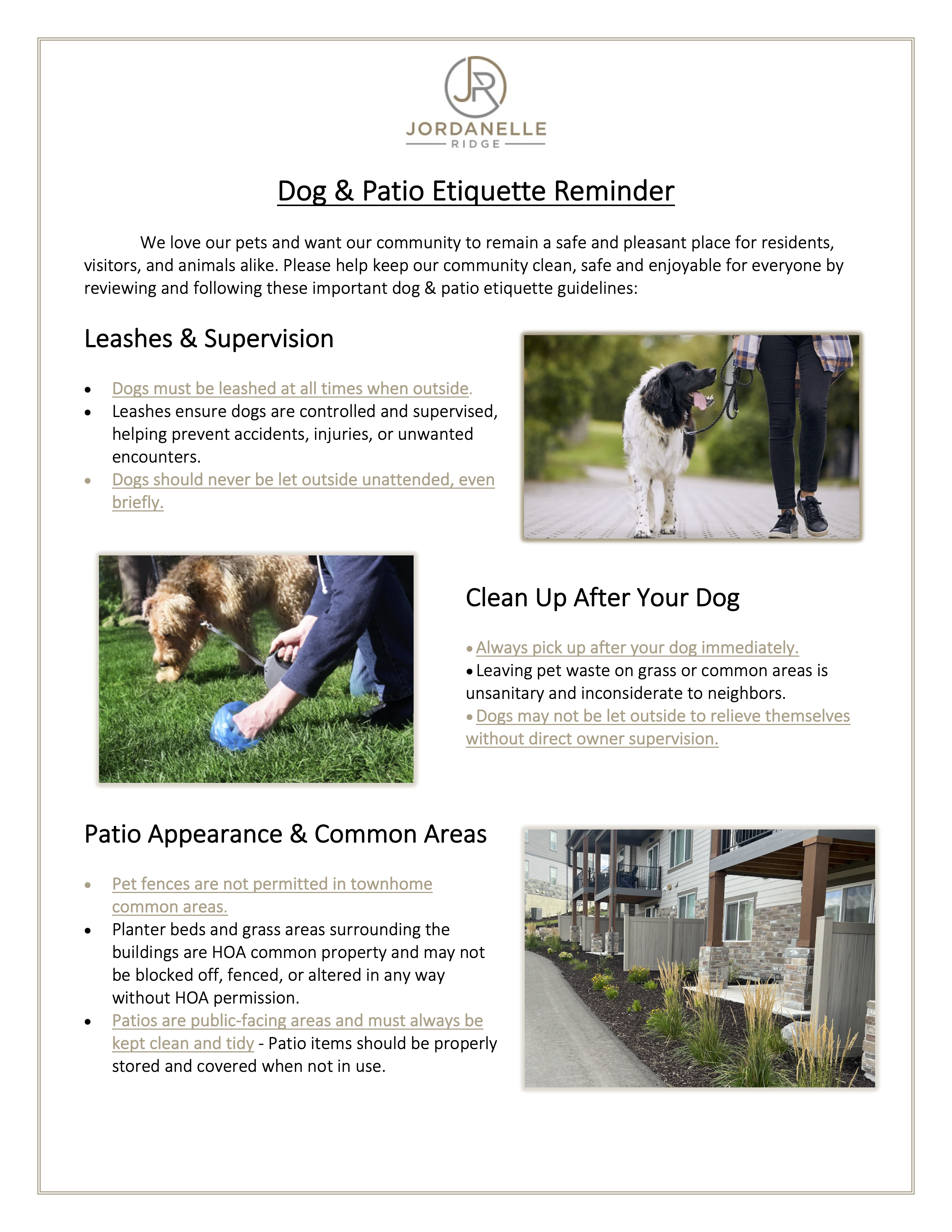 Dog & Patio Etiquette Flyer PNG